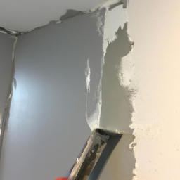 Peinture de Muret Extérieur: Personnalisation et Protection Carmaux